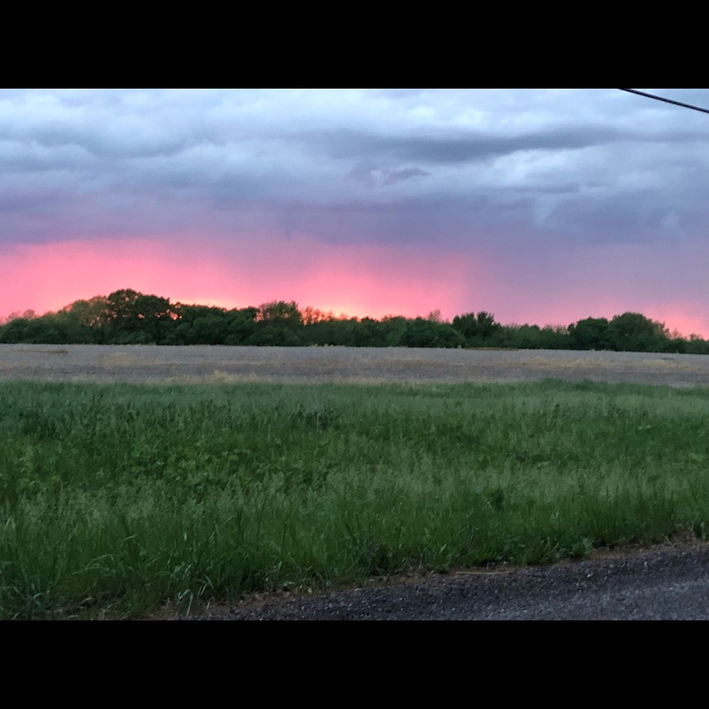 Meet your Posher, Tristan